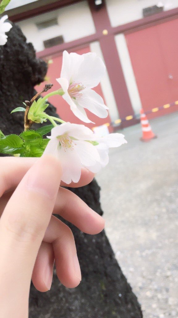 びんとろ民とリモ女さん