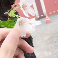 びんとろ民とリモ女さん