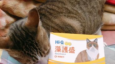 [萌寵]獸醫推薦│Hi-Q pets 寵物保健品 ~養護毛孩健康