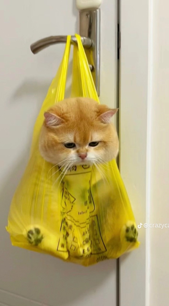 มะแงะ อซ ของจิ๊ง