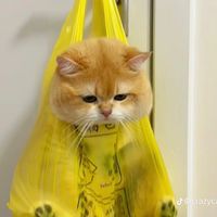 มะแงะ อซ ของจิ๊ง