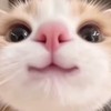ええ ⁉️ ガチ緩全也だってェェ  ‼️‼️‼️‼️