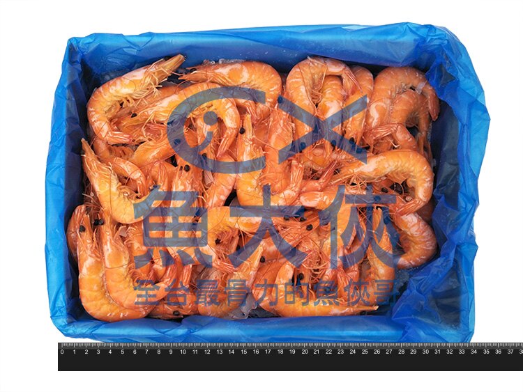 B3【魚大俠】SP034特鮮熟白蝦50/60 規格實重1.2KG。人氣店家魚大俠的秋冬暖心鍋物精選有最棒的商品。快到日本NO.1的Rakuten樂天市場的安全環境中盡情網路購物，使用樂天信用卡選購優惠