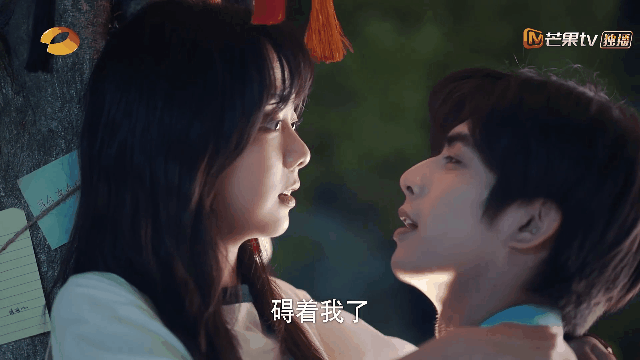 《以家人之名》尖尖&凌霄的爆甜名場面8：無尾熊式「樹咚吻」