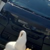 ハイエース好きな人集まれ〜