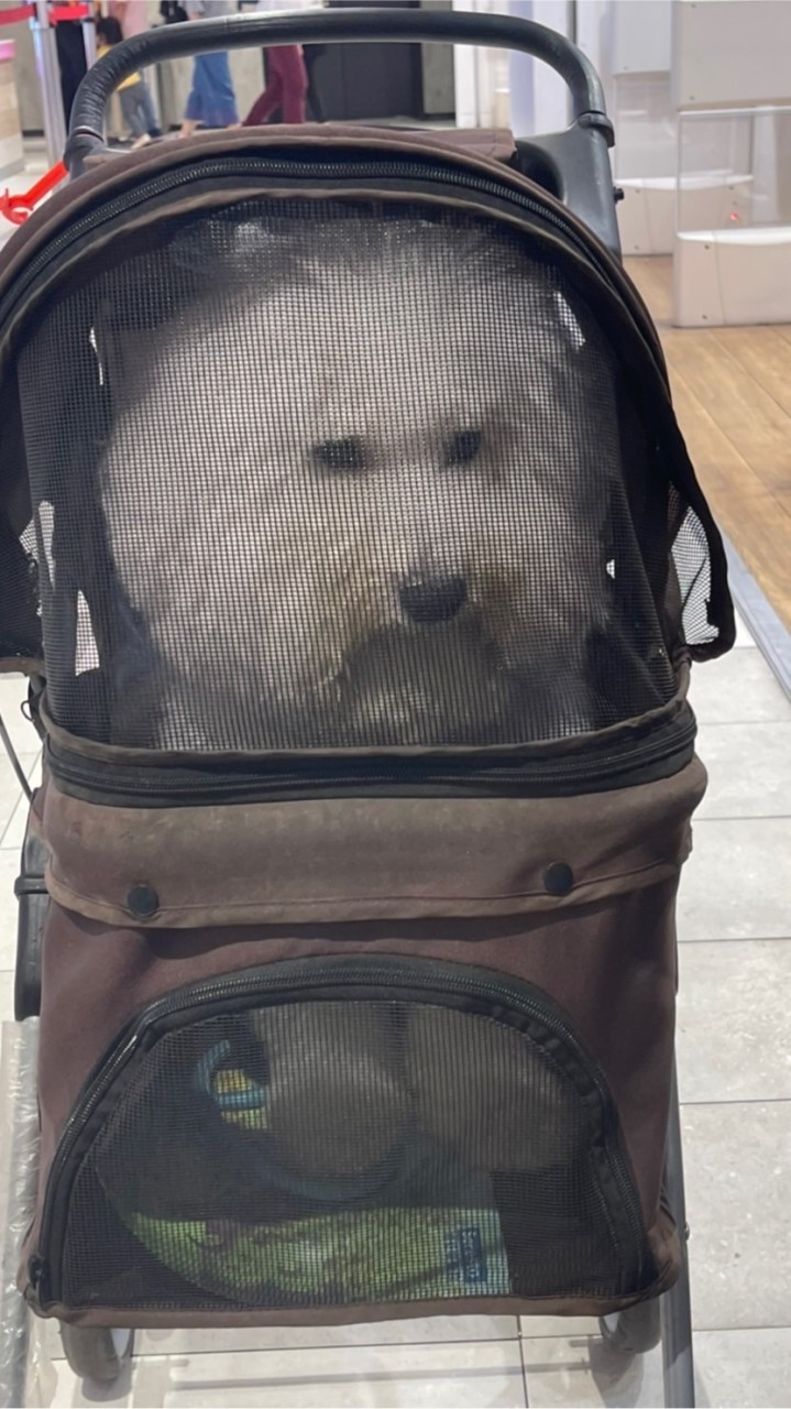 我只要貼圖