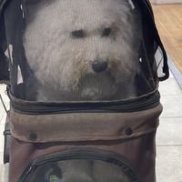 我只要貼圖