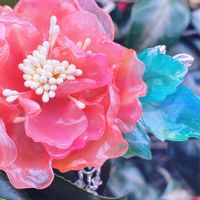 成美漢貓實驗舖