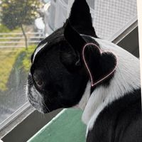 ⭐️無料⭐️糖尿病数値チェックアプリ