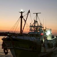 1319魚舖凍奶現流海魚🐠