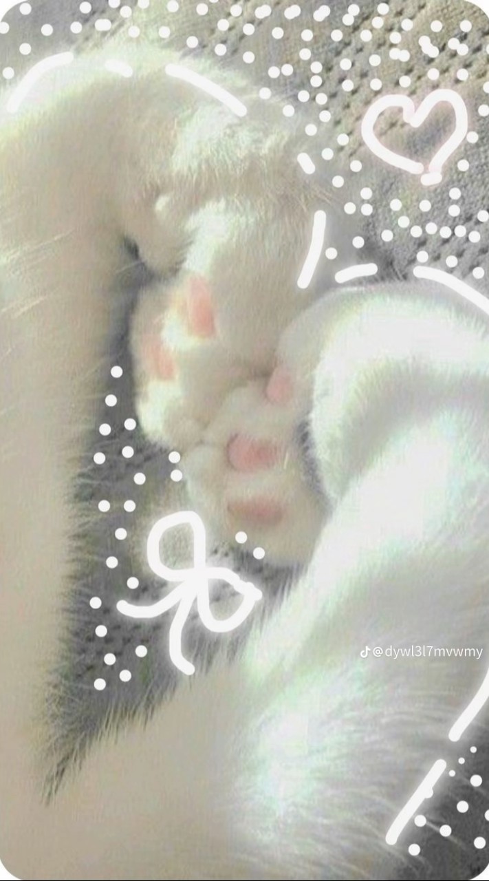 我愛貓貓💞