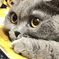 小世界