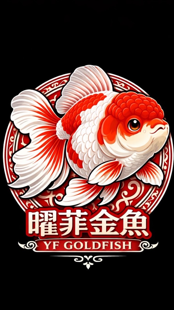 曜菲金魚YFGOLDFISH