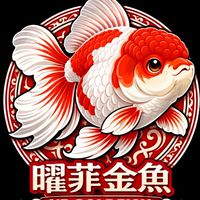 曜菲金魚YFGOLDFISH