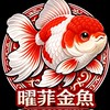 曜菲金魚YFGOLDFISH