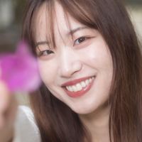 かほを韓国に連れて行こう会
