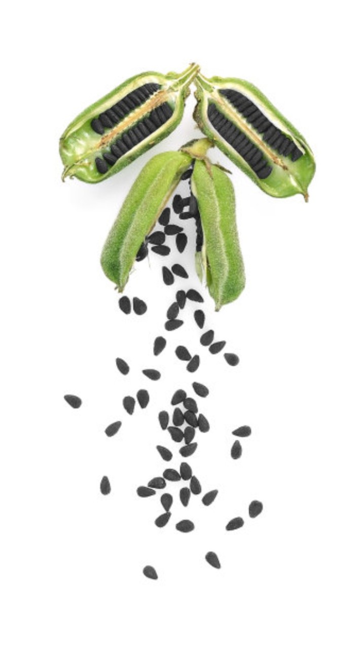 芝麻社區🌱②群｜比特幣/區塊鏈/加密貨幣/合約交易/現貨