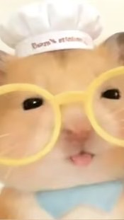 幸福在歌唱🎵