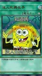 MEME梗圖聊天群