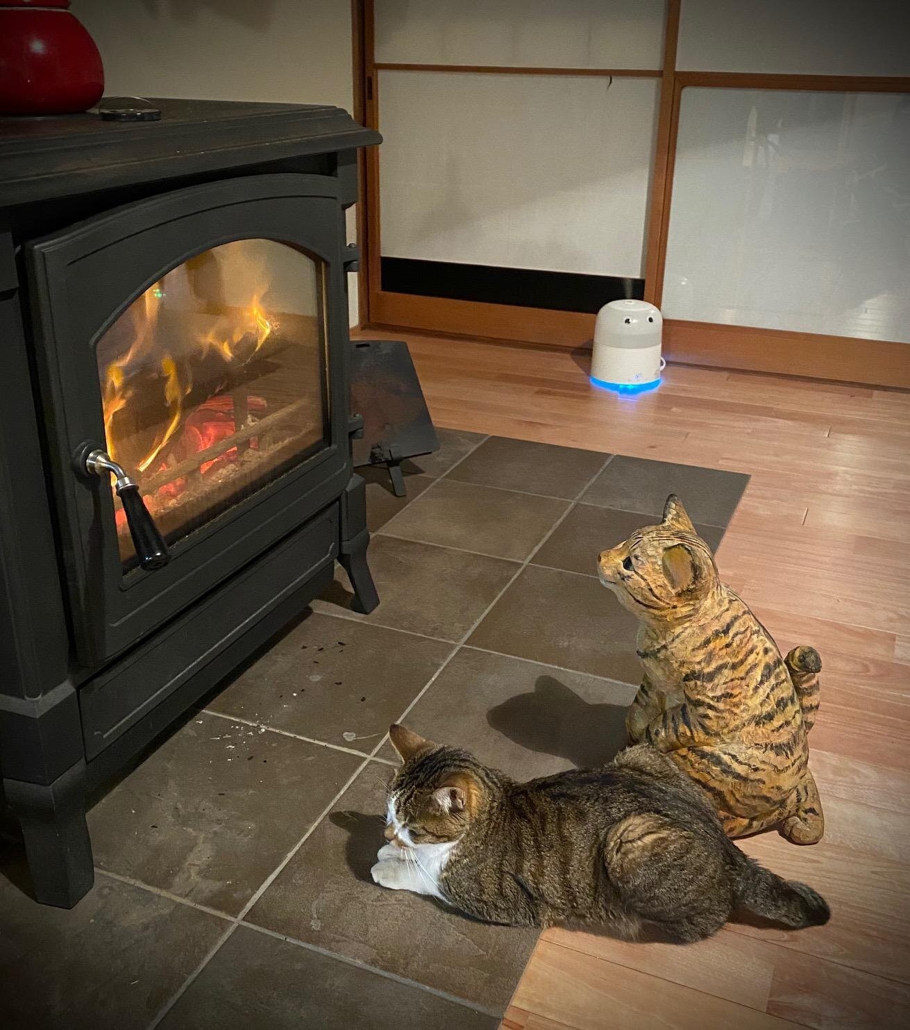 猫の木彫りに癒やされる人続出 ウチに来て と言いたくなるかわいさ ウォーカープラス