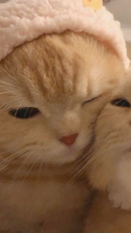 1 หาร netflix ต่อ24/7