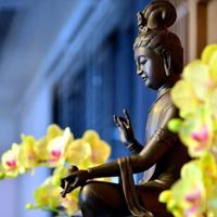 💗沈默解憂團😇