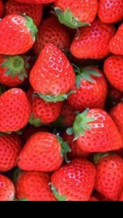 すとぷりすなー🍓👑のオープンチャット