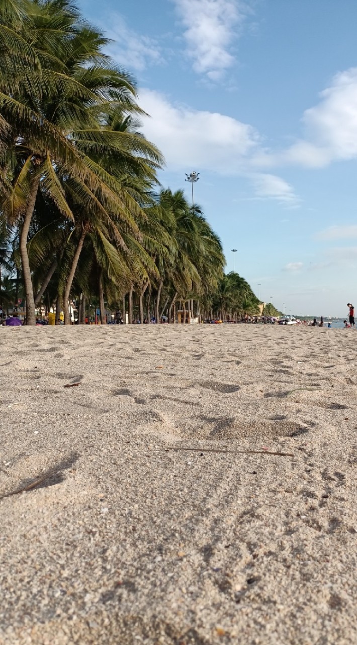 สหายสายเมืองชล