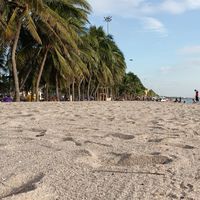 สหายสายเมืองชล