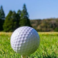 東京ゴルフ🏌️‍♀️初心者交流⛳️まずは打ちっぱなしから(埼玉、神奈川、千葉🆗)