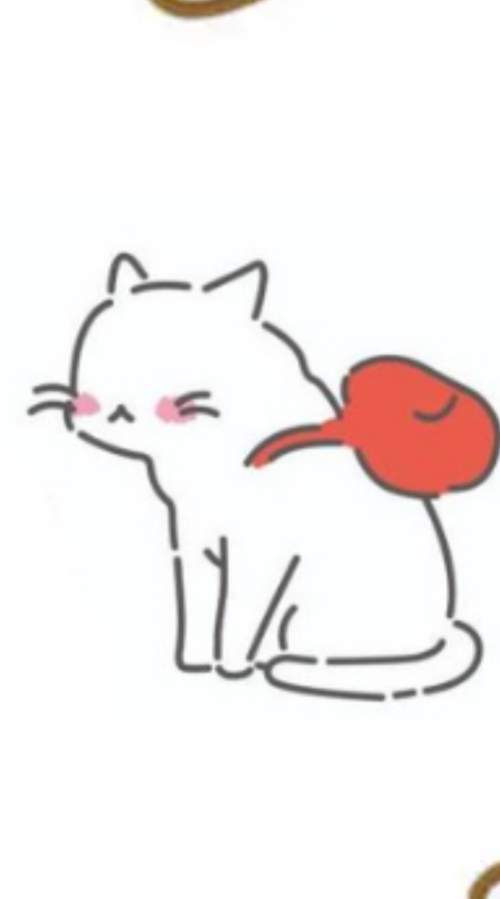 橘光呼嚕X背包Cat咖啡館