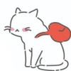 橘光呼嚕X背包Cat咖啡館
