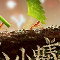 TW0 台灣蟻壇聯盟