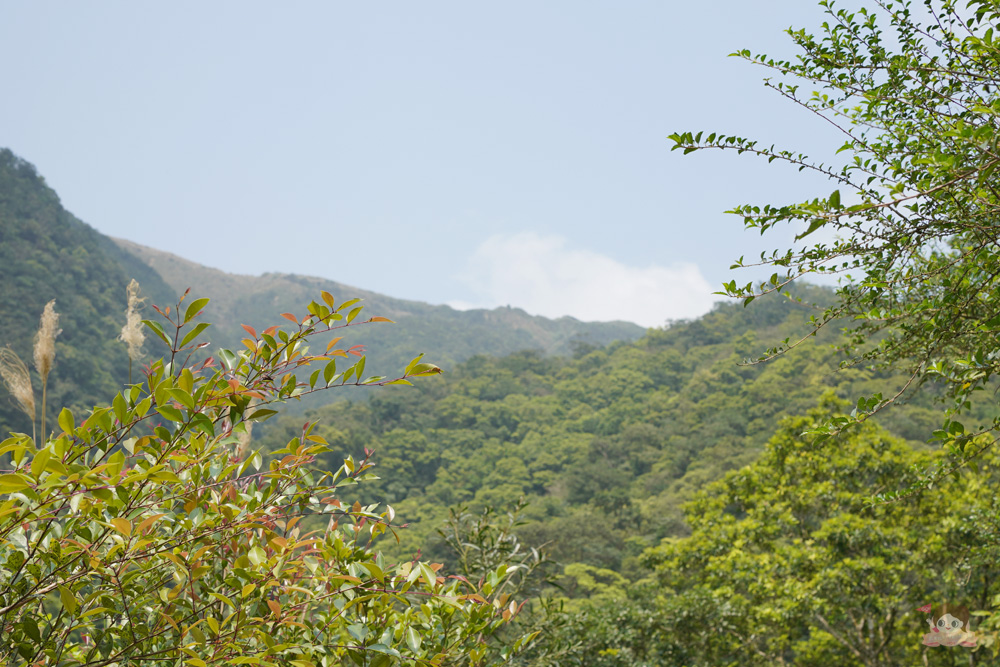 宜蘭.礁溪 臺灣的抹茶冰淇淋山，網美級小百岳仙境，挑戰聖母山莊步道，順收五峰旗瀑布