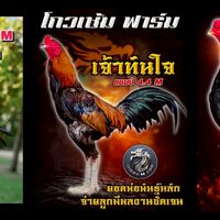ดาราวรรณ์ ลูกกระเจี๊ยบ โกวเซ็ม ฟาร์ม S 600./S 900