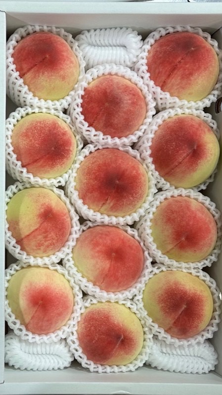🥬🌽🌶️🍆星沅蔬果行🥝🍊🥭🍉
