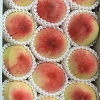 🥬🌽🌶️🍆星沅蔬果行🥝🍊🥭🍉