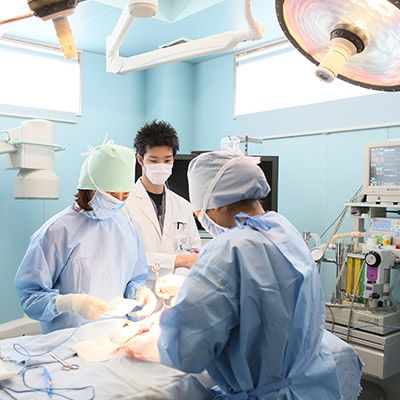 Recent Media 松波動物メディカル通信販売部本店