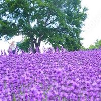 《札幌》主婦room！【30代〜50代の方】
