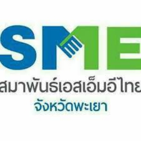 สมาพันธ์smeพะเยา