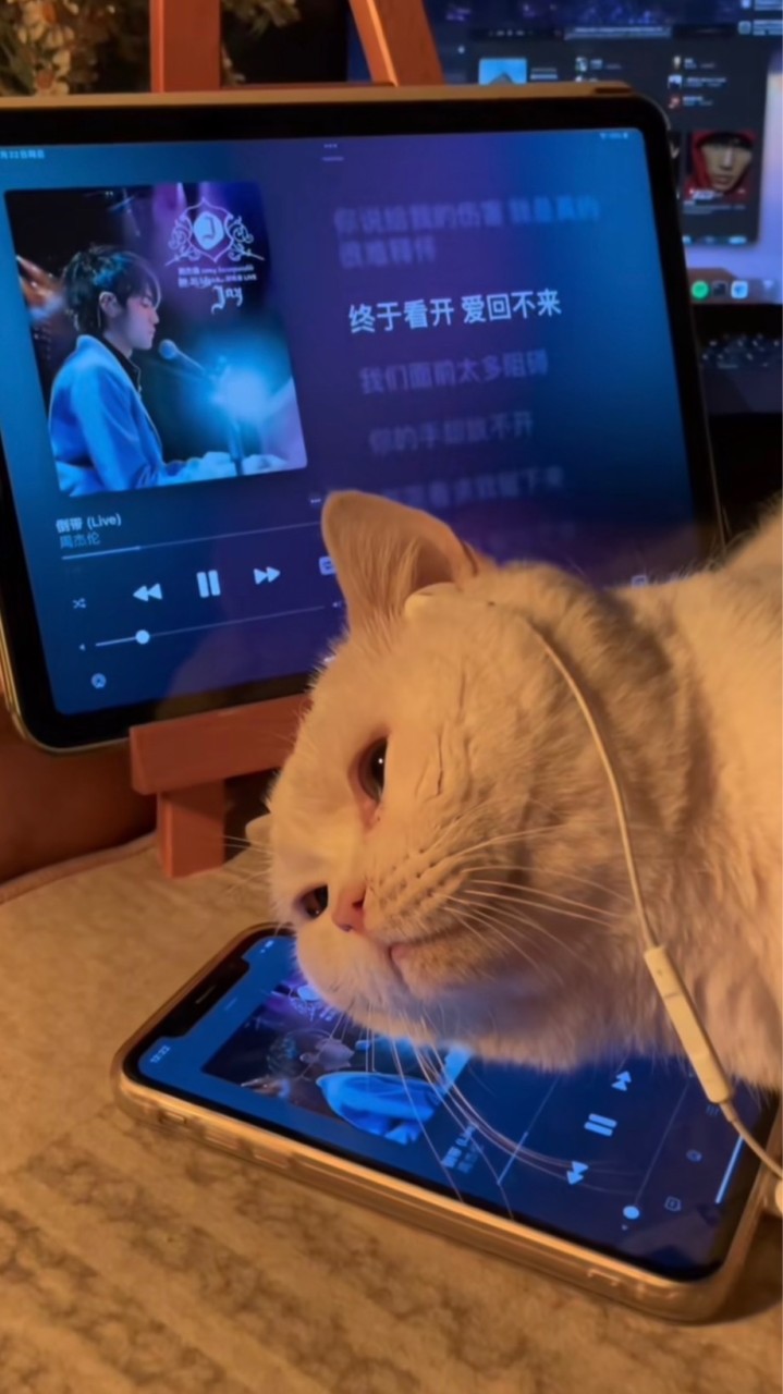 下次一定