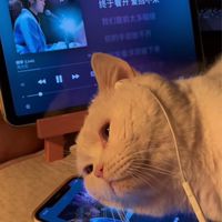 下次一定