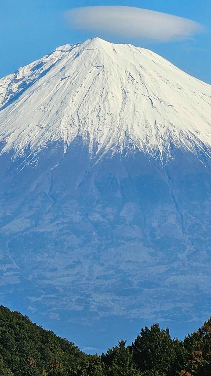 Winnie日韓港泰歐美代購💍👑