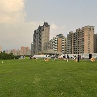 休運系動物森友會