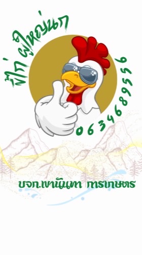 ขี้ไก่ ผู้ใหญ่นก