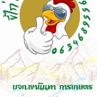 ขี้ไก่ ผู้ใหญ่นก