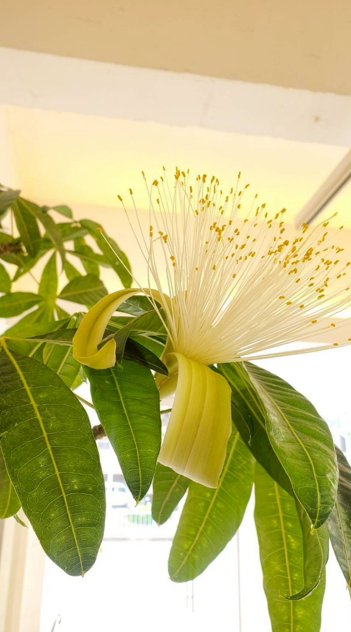 PALETTE LAB JAPAN／情報発信リンク