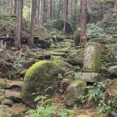 くまくまくまーさんが投稿した九鬼町山 / 峠のお店八鬼山/ヤキヤマの写真