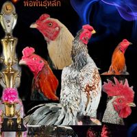 หอการค้า สหฟาร์ม อุบลราชธานี