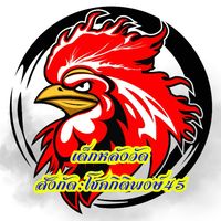 เด็กหลังวัด"สังกัด โชคกิติพงษ์ 45"🐓
